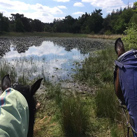 Horseman * Nederweert