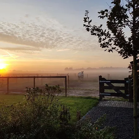 Horseman Appartamento *