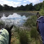 Horseman * Nederweert
